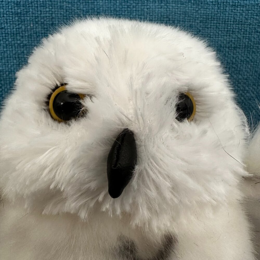 Douglas Plush Snowy Owl Harry Potter Hedwig Black White Soft 8" - Picture 6 of 11